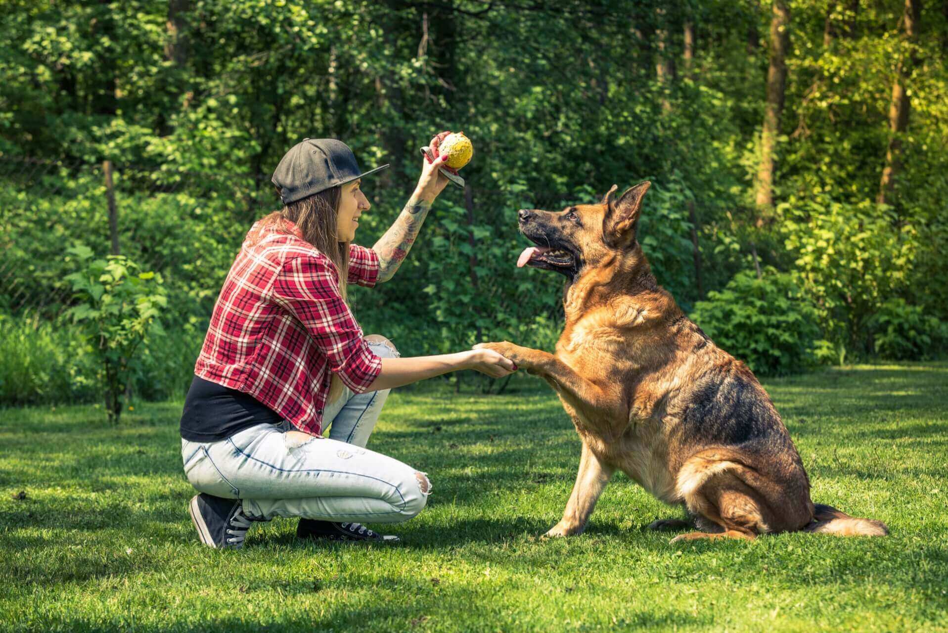 Capitol Area Dog Training and Behavior Consulting LLC 007